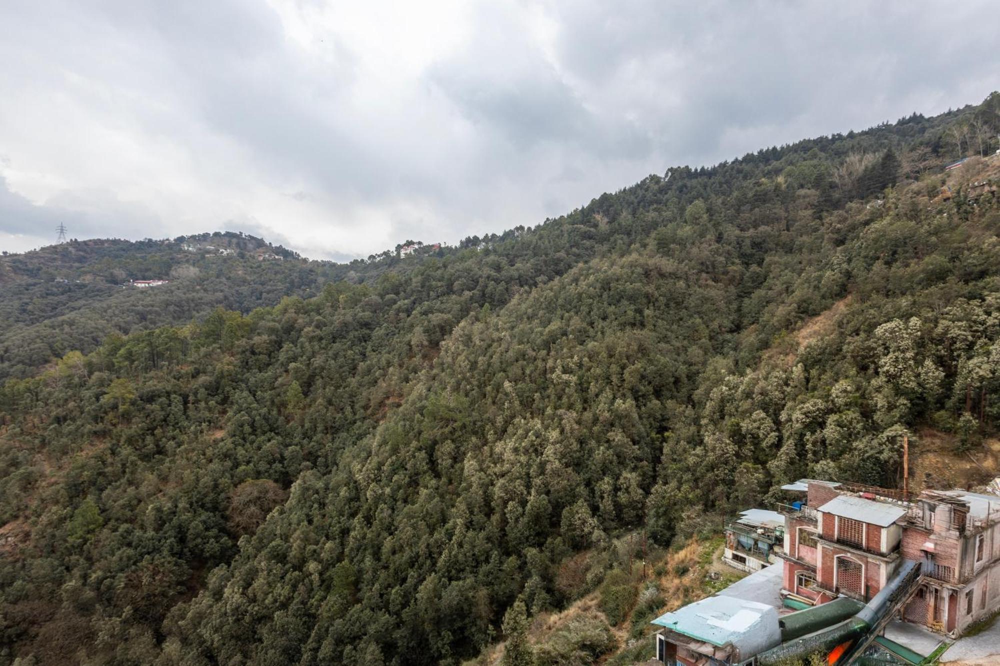 Treebo Lords Garden Glory With Valley View & Centralized Heating Shimla Extérieur photo